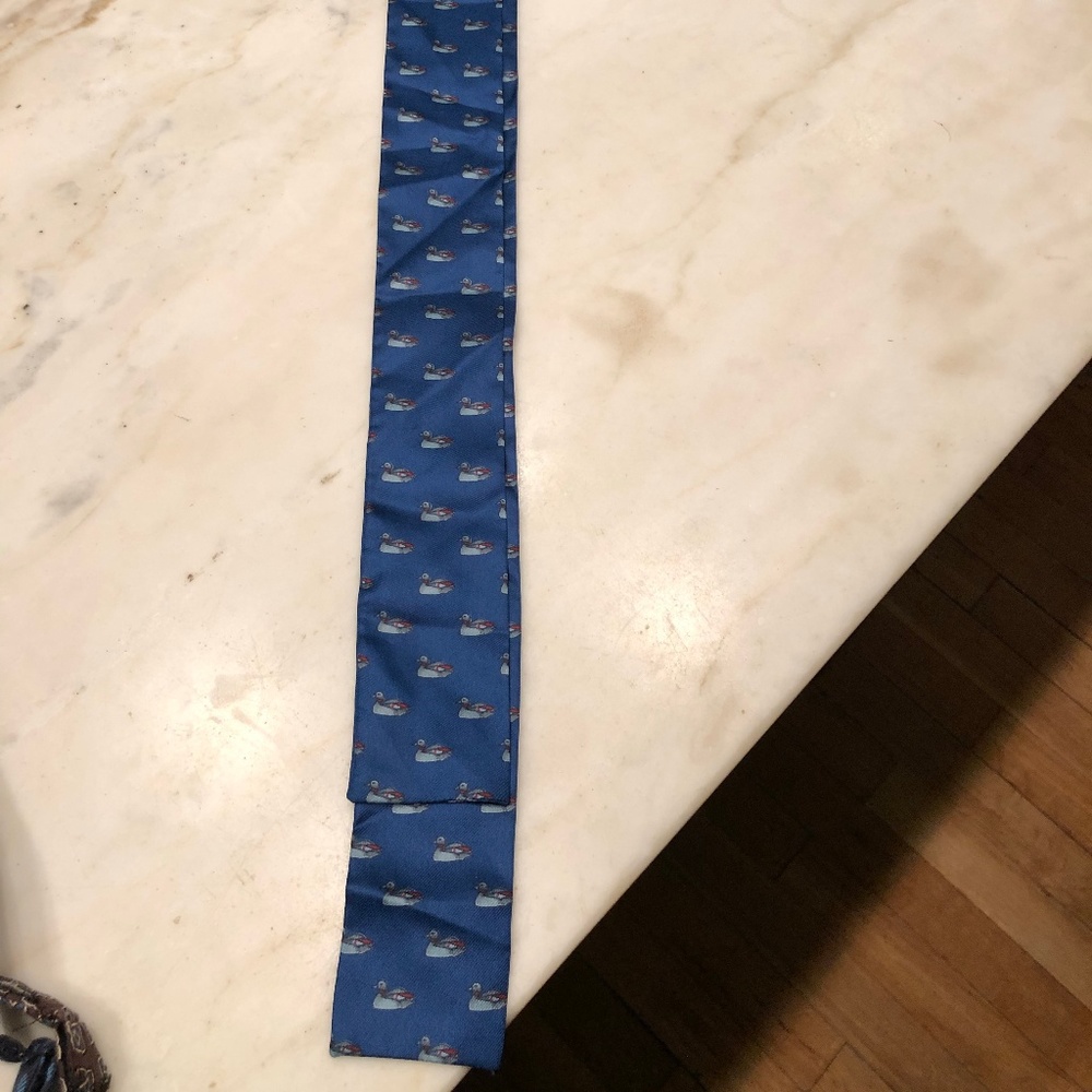 Beautiful Blue Duck Silk Necktie